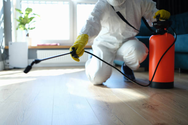 Reliable Biohazard Cleanup contractor in Elyria, NE by Trauma Clean Pros